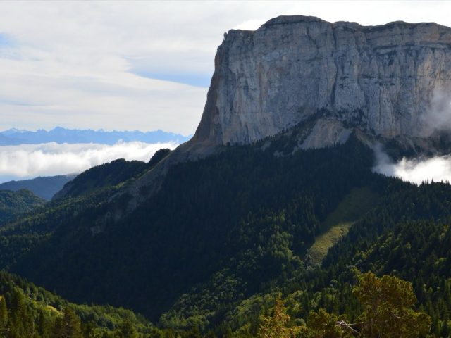 Cuisine du monde : guide et organisation de la rubrique