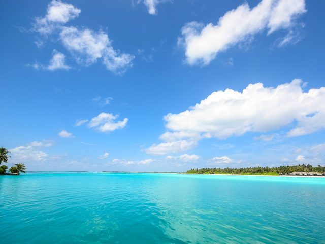 Vacances gratuites : l’astuce des séjours solidaires à découvrir